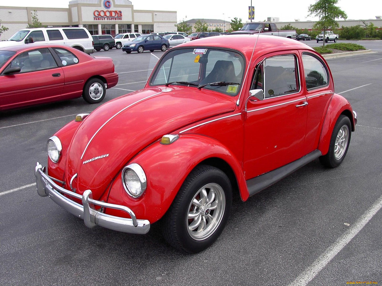 1967, vw, bug, classic, , volkswagen